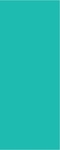 4.25 x 11 - Basic - BkgrdTurquoise