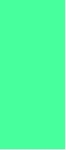 3.75 x 8.75 - Basic - BkgrdTurquoise